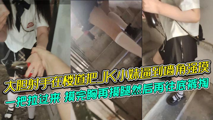 大胆射手在楼道把JK小妹逼到墙角强摸一把拉过来摸完.胸再摸腿然后再往底裤掏牛逼
